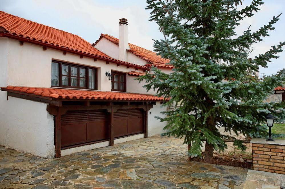 Alexander Resort Arachova Ngoại thất bức ảnh
